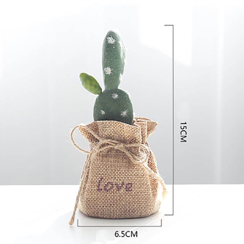 🔥𝐇𝐎𝐓 𝐃𝐄𝐀𝐋🔥Xương Rồng Decor Trang Trí Bàn Học MQ-021