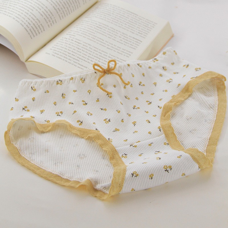 Quần Lót Cotton - Quần Lót Nữ Cotton thiết kế gân tăm cao cấp thoáng mát DAN STORE MÃ 1315