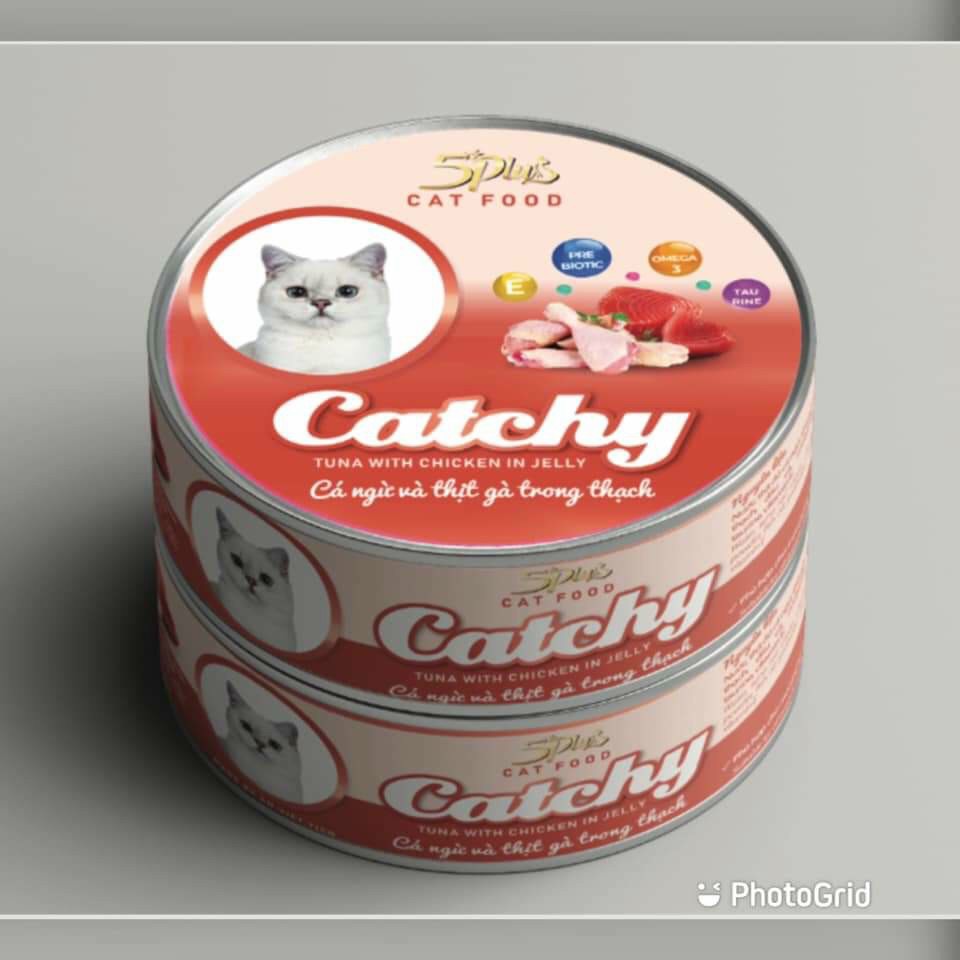 Pate lon cho mèo 5Plus Catchy 170g - 100% thịt thật nước sốt hấp dẫn