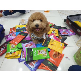 Snack Thưởng Thanh Mềm Cho Chó PRAMA