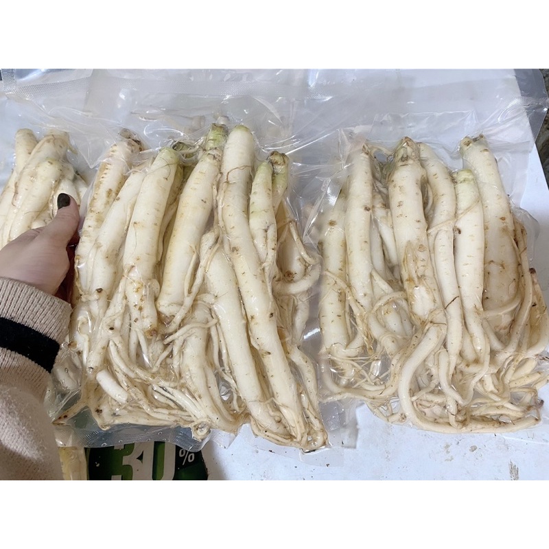 1kg Sâm dây Ngọc Linh tươi hàng chọn - ĐẢM BẢO CHẤT LƯỢNG 100% - DƯỢC LIỆU HÀ HOÀNG