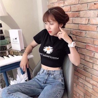 Áo Croptop nữ Cúc Trắng