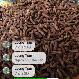 Chuối hột rừng