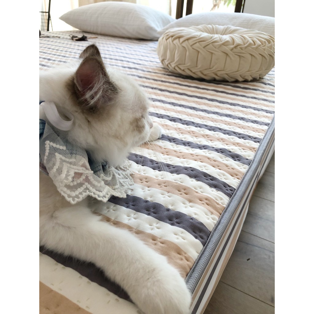 GA CHỐNG THẤM TRẦN BÔNG XƠ ĐẬU NÀNH-TOKYO.BEDDING