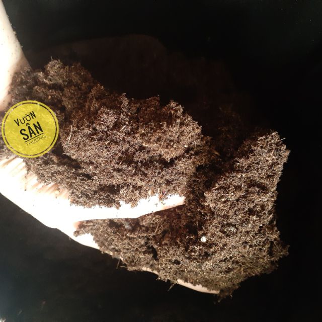Peatmoss, than rêu bùn (gói 1000g) phù hợp cung cấp mùn, ươm cây các loại