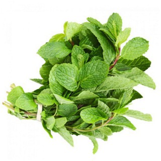 (GÍA SỈ) [gói 0.1g] Hạt giống rau húng lủi
