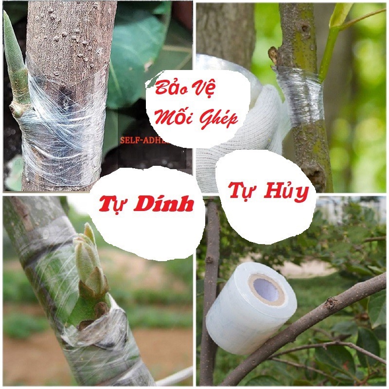🎉Gía Sỉ🎉 Băng keo ghép cây tự dính tự hủy giúp bảo vệ mối ghép - Đồ dùng làm vườn chuyên nghiệp