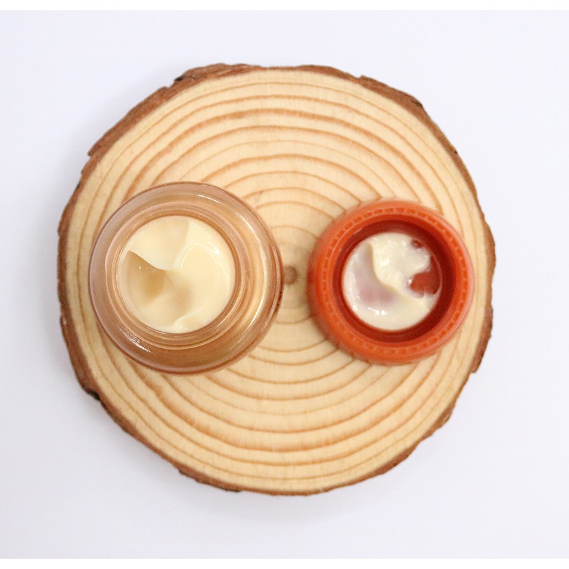 [Mới 2023] Kem Sâm tái tạo phục hồi da căng bóng Sulwhasoo MINISIZE 5ml