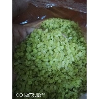 Cốm nếp dẹp ( 1kg )