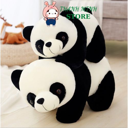 Gối Ôm Gấu Trúc Nhồi Bông 3D Tinh Khiết Gấu Bông Gối Ôm Gấu -Panda