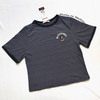 Áo thun Pull & Bear xịn xuất dư