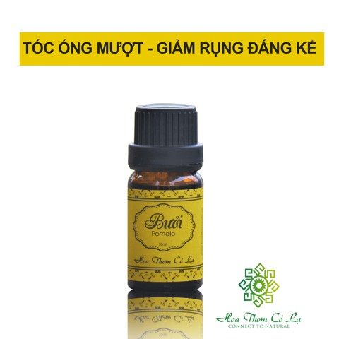 Tinh dầu Bưởi Nguyên Chất - Pomelo Essential Oil - Hoa Thơm Cỏ Lạ