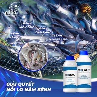 Nano Bạc AHT thủy sản