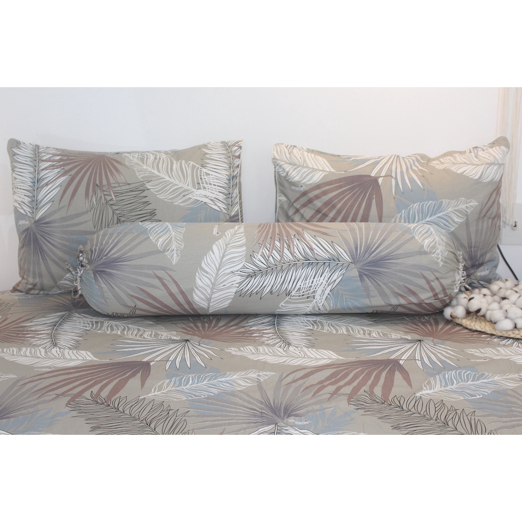 Bộ drap 4 món Cotton - Mẫu Lá Cọ Nền Nâu