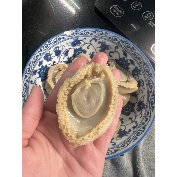 Bào Ngư size khủng