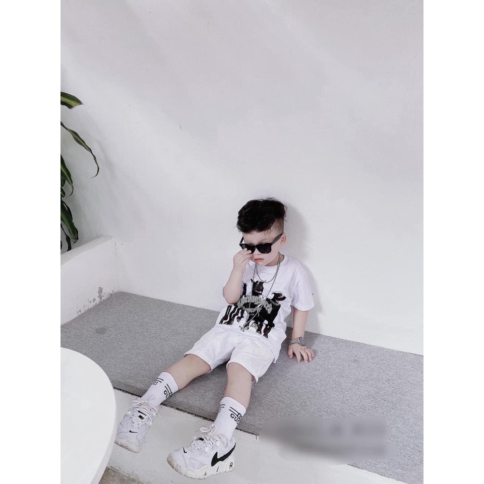 Áo thun trẻ em mikenco, Áo phông cho bé từ 1 đến 10 tuổi cộc tay mikenco COA STORE