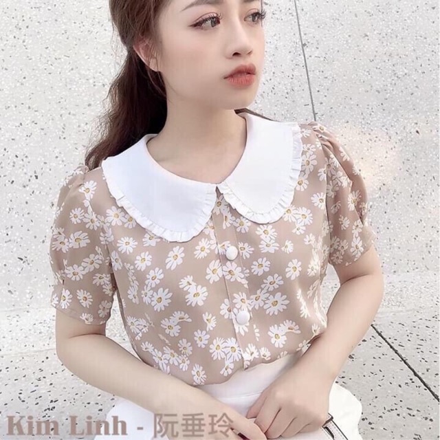 ÁO NỮ KIỂU HOA CÚC DAISY CỔ TRẮNG