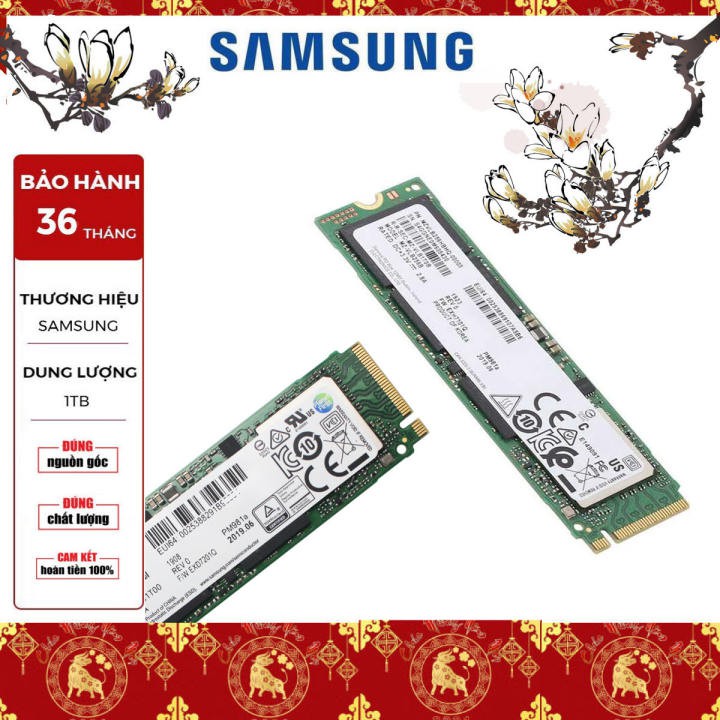 SSD Samsung NVMe PM981a M.2 PCIe Gen3 x4 1TB MZ-VLB1T0B - Bảo Hành 3 Năm {1 đổi 1}