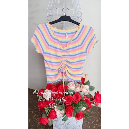 Áo mongtegi dáng croptop