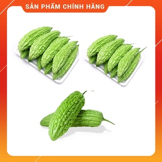 Hạt giống mướp đắng - Hạt giống khổ qua lai F1