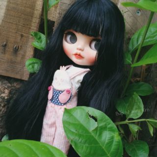 Búp bê Blythe đã faceup