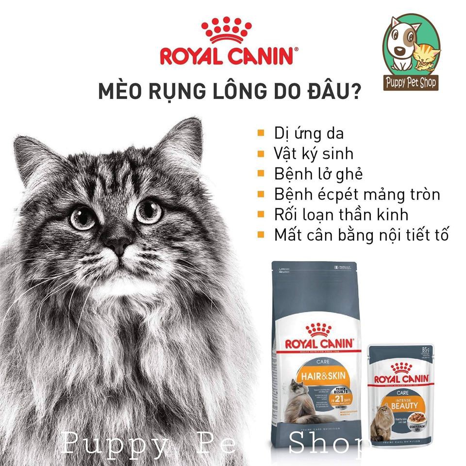 Thức Ăn Royal Canin Hair Skin Chăm Sóc Da Lông