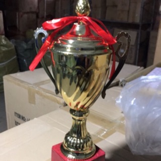 Combo 1 cúp + 21 huy chương( 7 vàng -7bac- 7 đồng)