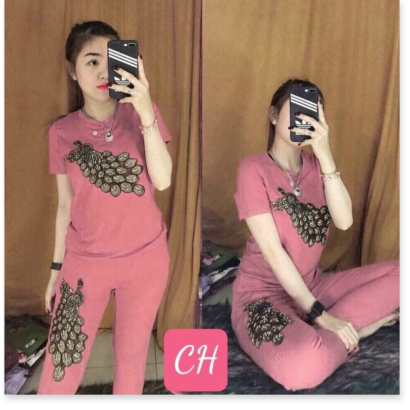 SET ĐỒ BỘ NỮ THUN,CHẤT LIỆU VÃI THOÁNG MÁT VÀ CO GIẢN 4C LANA FASHION