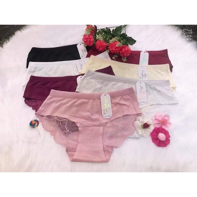 Bán sỉ quần chip cotton pha ren 1483