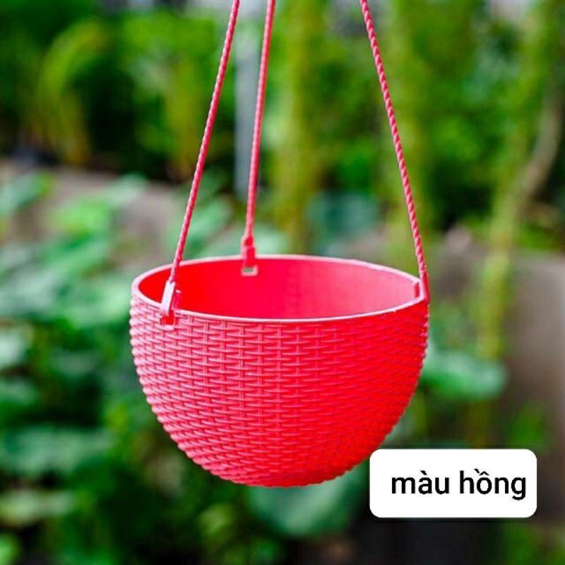 Chậu treo mây trồng hoa ca cảnh có dây treo 6 mầu