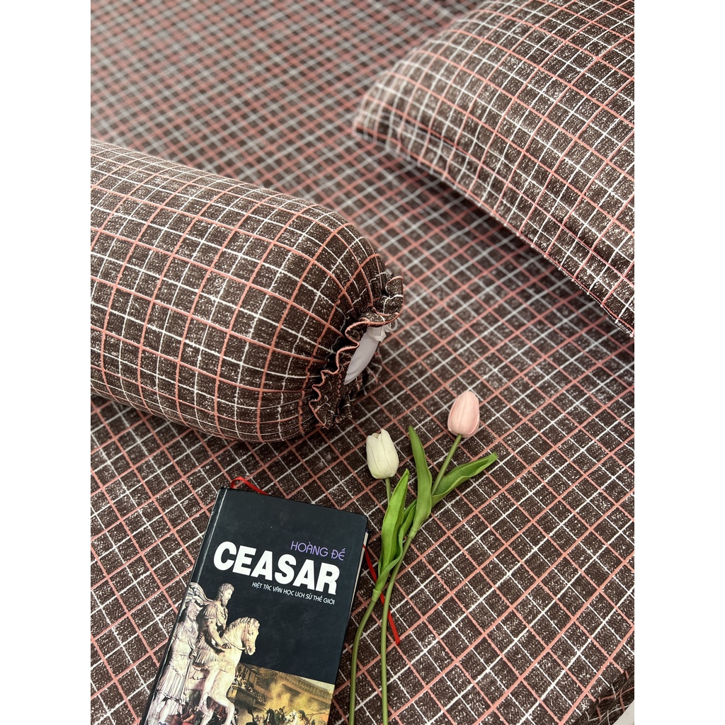 Bộ ga gối thun hàn quốc cao cấp