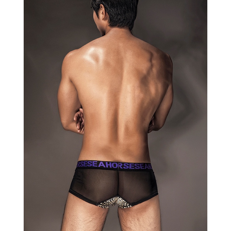 Quần Seahorse LX023