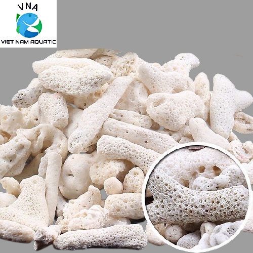 San hô vụn - Vật liêụ lọc,trang trí bể cá (100g)