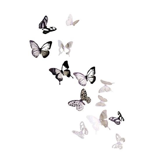 Set 18 Miếng Dán Tường / Tủ Lạnh DIY Hình Bướm 3D Trang Trí Nhà Cửa