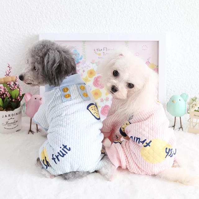 Thời trang liền quần cho thú cưng (nhập khẩu Thái Lan)