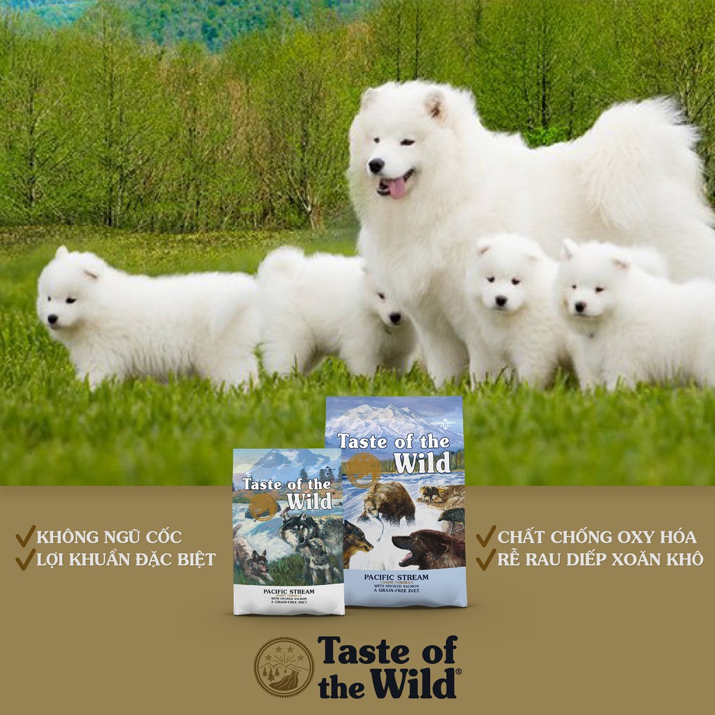 [DINH DƯỠNG CAO] 12KG THỨC ĂN HẠT CHO CHÓ CON TASTE OF THE WILD PACIFIC STREAM PUPPY vị Cá Hồi Xông Khói