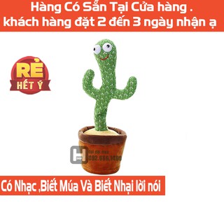Cây xương rồng biết nói cây xương rồng biết múa