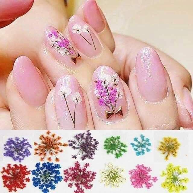 Sét hoa khô trang trí móng tay