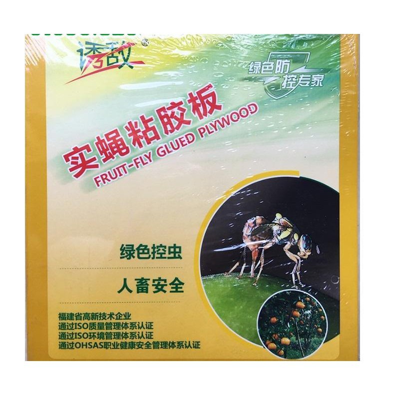 Miếng bẫy ruồi vàng, sâu bọ dùng cho vườn lan, cây ăn trái