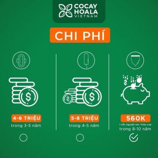 [SHOPROSE] -  Cốc Nguyệt San Cocayhoala Tulip Cup Thông Minh 100% Silicone Y Tế Cao cấp Siêu Mềm