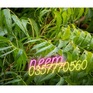 Lá neem khô 1kg Ninh Thuận
