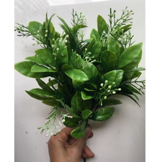 Cỏ nhựa 5 nhánh bụi to