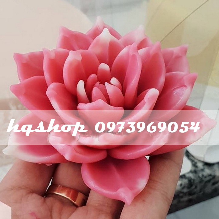 Khuôn silicon 3d làm thạch làm bánh mẫu sen đá cánh kim