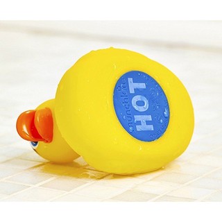 Vịt vàng báo nóng Munckin