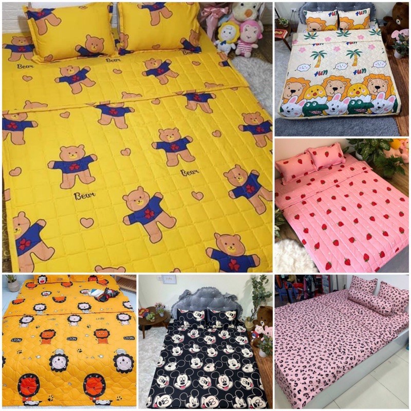 Trọn bộ 5 món chăn ga gối hè trần bông 3 lớp cotton poly