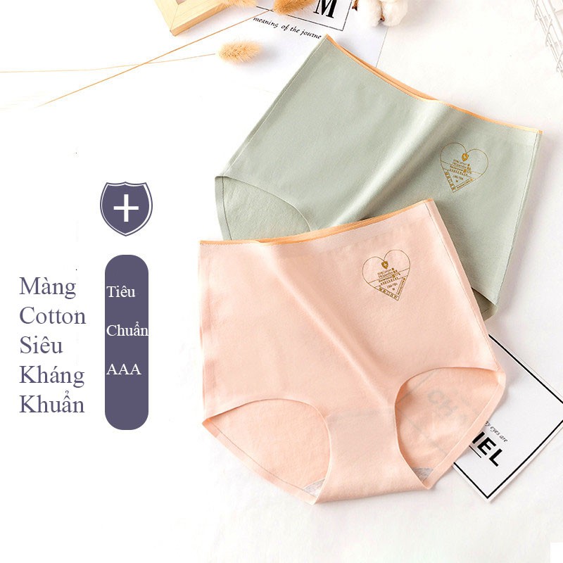 [Mã 12FASHIONSALE1 giảm 10K đơn 50K] Quần Lót Cotton Cạp Cao Không Đường May Kháng Khuẩn Chống Viêm Nhiễm CT03 | BigBuy360 - bigbuy360.vn