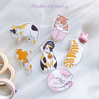 Bullet journal sticker - set sticker mèo