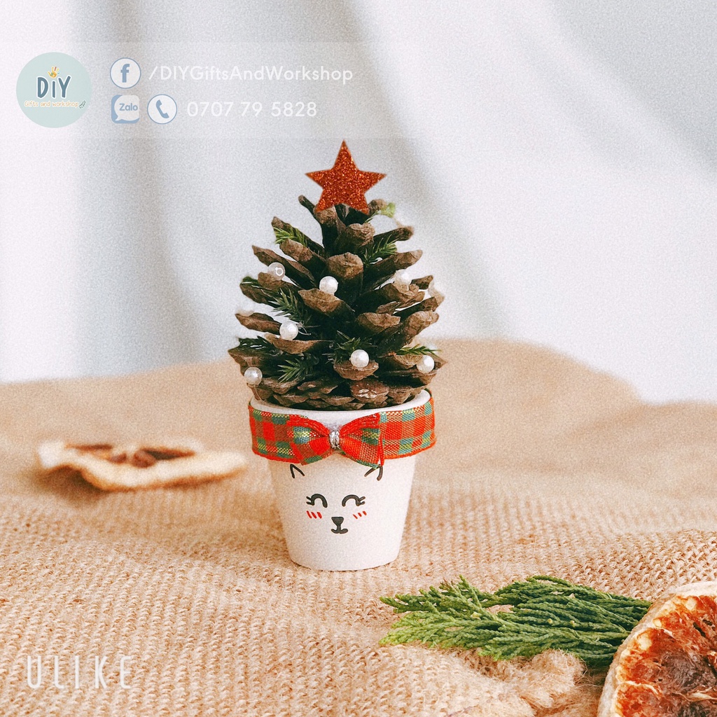 Cây thông Noel mini từ trái thông thật