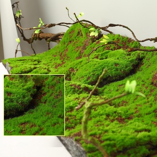 Thảm rêu nhân tạo dùng decor, chụp ảnh cho studio ( Hàng có sẵn)