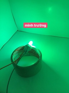 đèn led xi-nhan , demi xe máy ( 2 bóng)